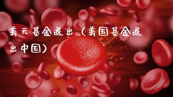 美元基金退出（美国基金退出中国）_https://www.lansai.wang_基金理财_第1张
