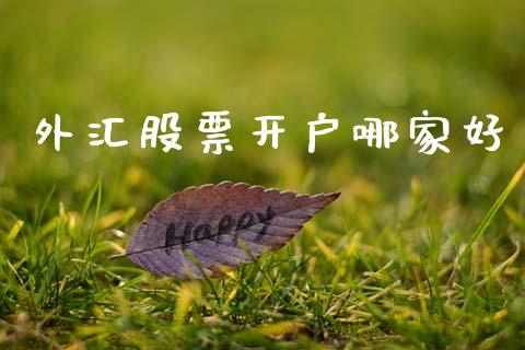 外汇股票开户哪家好_https://www.lansai.wang_期货行情_第1张