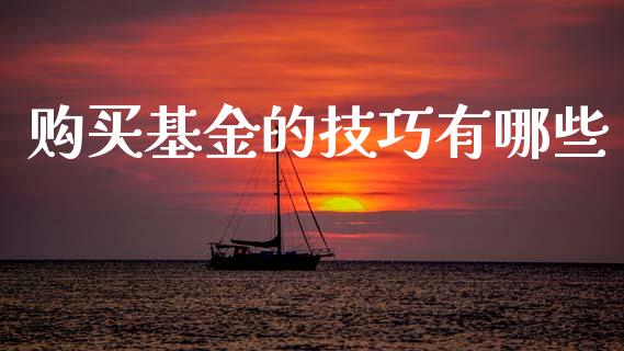 购买基金的技巧有哪些_https://www.lansai.wang_基金理财_第1张