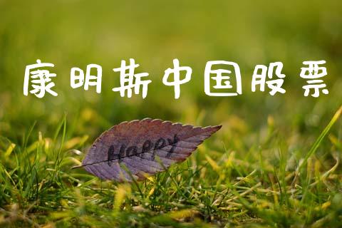 康明斯中国股票_https://www.lansai.wang_期货行情_第1张