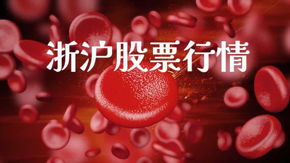 浙沪股票行情_https://www.lansai.wang_股票知识_第1张
