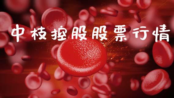 中枝控股股票行情_https://www.lansai.wang_股票知识_第1张