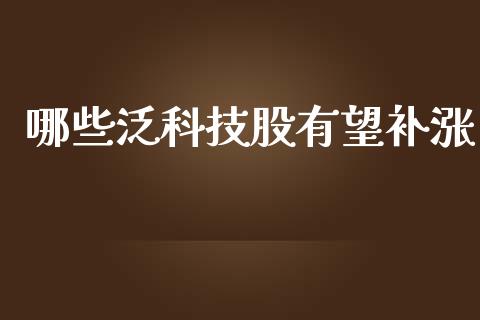 哪些泛科技股有望补涨_https://www.lansai.wang_期货资讯_第1张