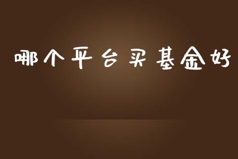 哪个平台买基金好_https://www.lansai.wang_基金理财_第1张