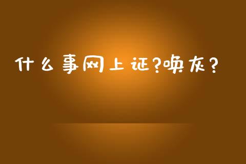 什么事网上证?唤灰?_https://www.lansai.wang_股票知识_第1张