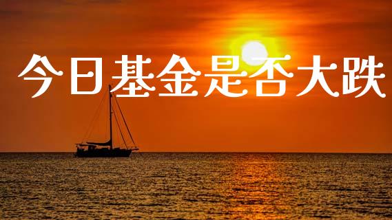 今日基金是否大跌_https://www.lansai.wang_基金理财_第1张