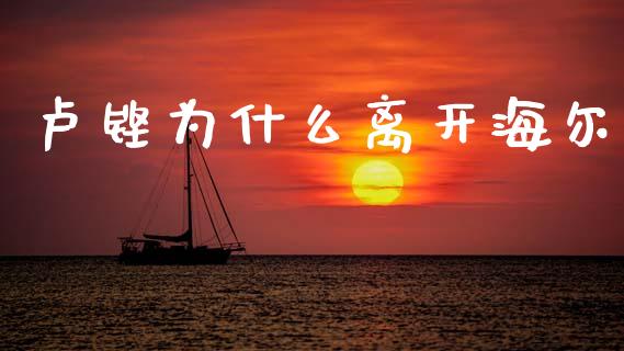 卢铿为什么离开海尔_https://www.lansai.wang_恒生指数_第1张