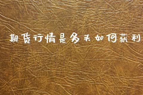 期货行情是多头如何获利_https://www.lansai.wang_恒生指数_第1张