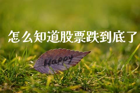 怎么知道股票跌到底了_https://www.lansai.wang_股票知识_第1张