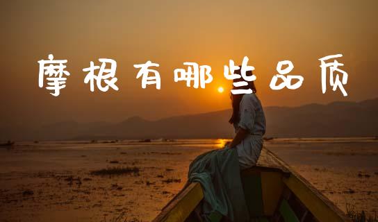 摩根有哪些品质_https://www.lansai.wang_股票问答_第1张