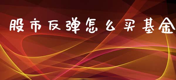 股市反弹怎么买基金_https://www.lansai.wang_基金理财_第1张