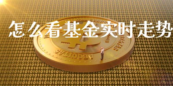 怎么看基金实时走势_https://www.lansai.wang_基金理财_第1张