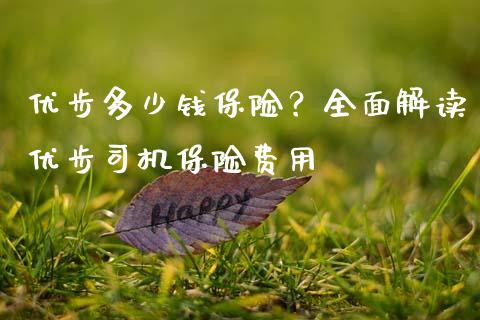 优步多少钱保险？全面解读优步司机保险费用_https://www.lansai.wang_期货直播_第1张