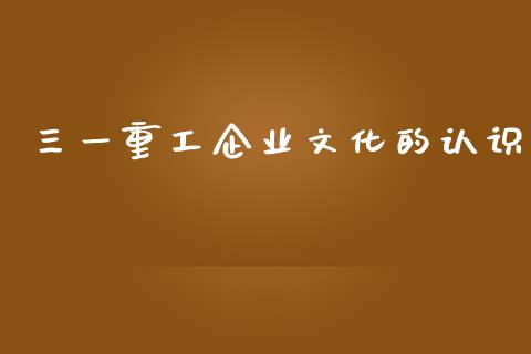 三一重工企业文化的认识_https://www.lansai.wang_股票知识_第1张