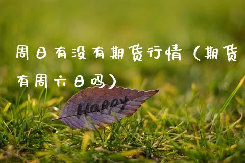 周日有没有期货行情（期货有周六日吗）_https://www.lansai.wang_恒生指数_第1张
