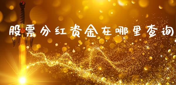 股票分红资金在哪里查询_https://www.lansai.wang_股票问答_第1张