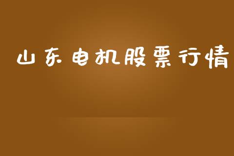 山东电机股票行情_https://www.lansai.wang_股票知识_第1张