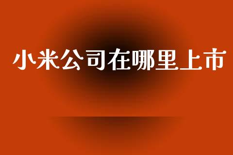 小米公司在哪里上市_https://www.lansai.wang_期货资讯_第1张
