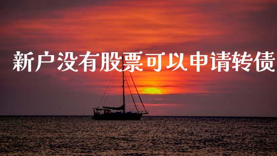 新户没有股票可以申请转债_https://www.lansai.wang_期货行情_第1张