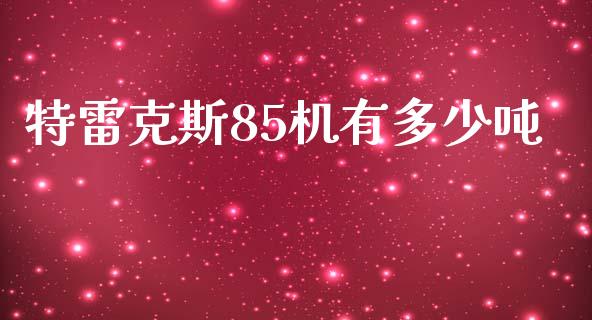 特雷克斯85机有多少吨_https://www.lansai.wang_股票知识_第1张