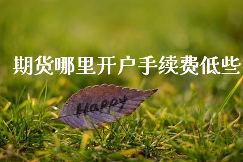 期货哪里开户手续费低些_https://www.lansai.wang_恒生指数_第1张