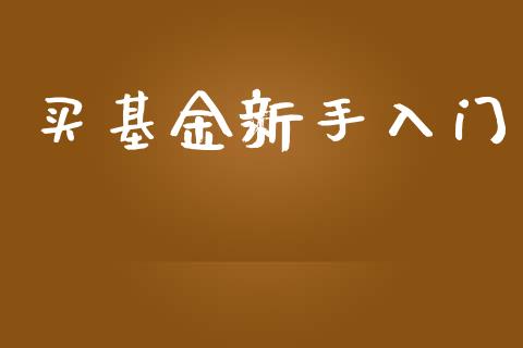买基金新手入门_https://www.lansai.wang_基金理财_第1张