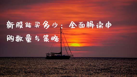新股能买多少：全面解读申购数量与策略_https://www.lansai.wang_期货资讯_第1张