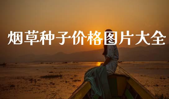 烟草种子价格图片大全_https://www.lansai.wang_期货行情_第1张
