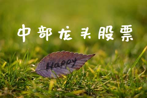 中部龙头股票_https://www.lansai.wang_期货行情_第1张