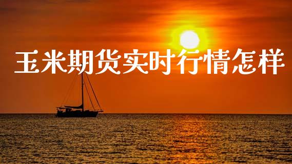玉米期货实时行情怎样_https://www.lansai.wang_期货资讯_第1张