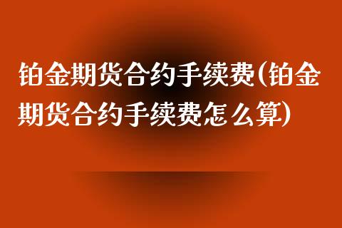 铂金期货合约手续费(铂金期货合约手续费怎么算)_https://www.lansai.wang_期货行情_第1张