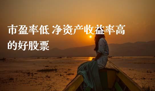 市盈率低 净资产收益率高的好股票_https://www.lansai.wang_基金理财_第1张