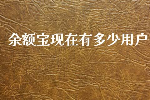 余额宝现在有多少用户_https://www.lansai.wang_股票知识_第1张