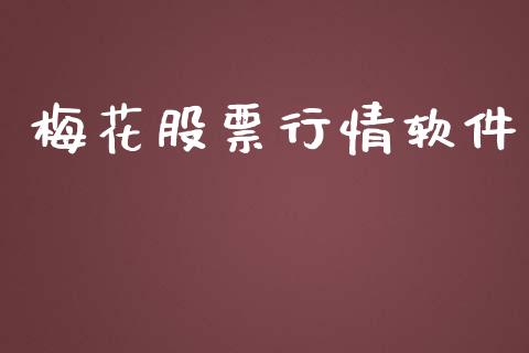 梅花股票行情软件_https://www.lansai.wang_股票问答_第1张