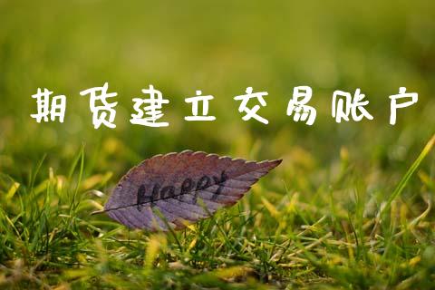 期货建立交易账户_https://www.lansai.wang_期货行情_第1张