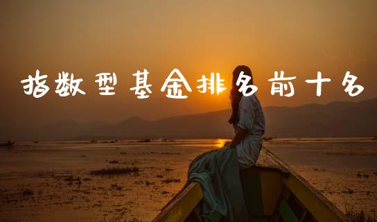指数型基金排名前十名_https://www.lansai.wang_基金理财_第1张