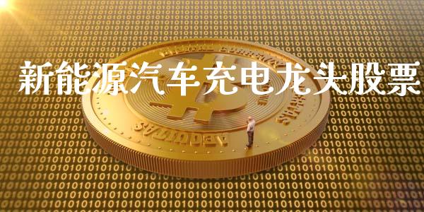 新能源汽车充电龙头股票_https://www.lansai.wang_期货行情_第1张