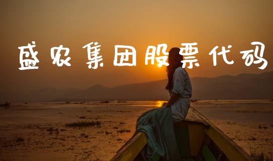 盛农集团股票代码_https://www.lansai.wang_基金理财_第1张