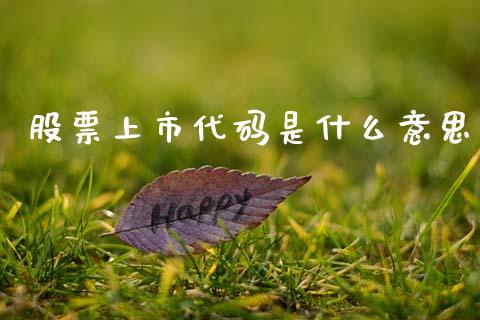 股票上市代码是什么意思_https://www.lansai.wang_股票知识_第1张