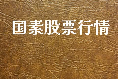 国素股票行情_https://www.lansai.wang_股票知识_第1张