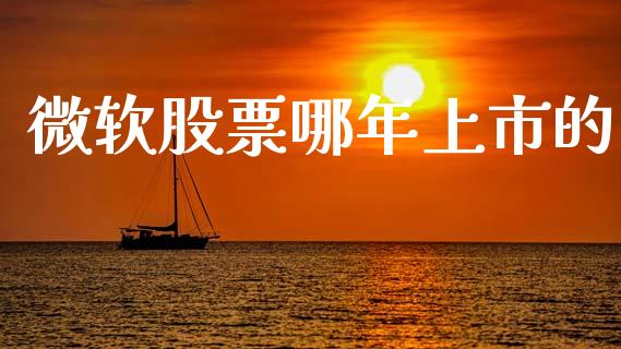 微软股票哪年上市的_https://www.lansai.wang_股票知识_第1张