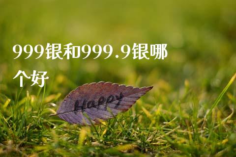 999银和999.9银哪个好_https://www.lansai.wang_期货资讯_第1张