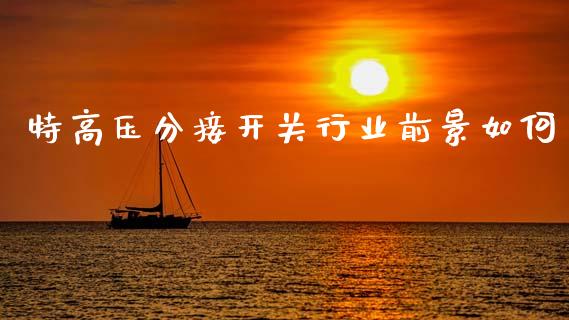 特高压分接开关行业前景如何_https://www.lansai.wang_期货行情_第1张