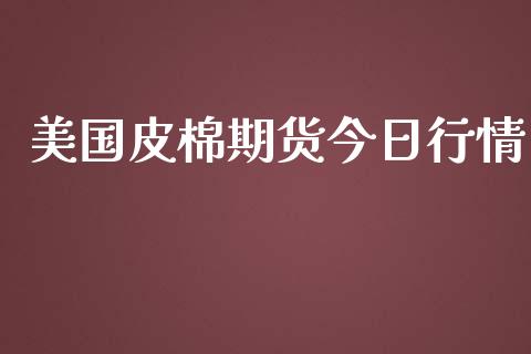 美国皮棉期货今日行情_https://www.lansai.wang_期货资讯_第1张