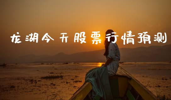 龙湖今天股票行情预测_https://www.lansai.wang_股票知识_第1张