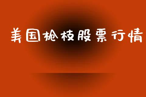 美国枪枝股票行情_https://www.lansai.wang_股票知识_第1张