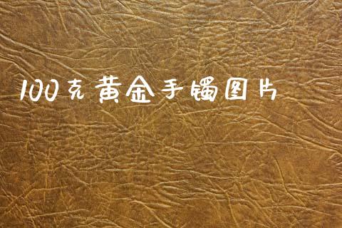 100克黄金手镯图片_https://www.lansai.wang_期货资讯_第1张