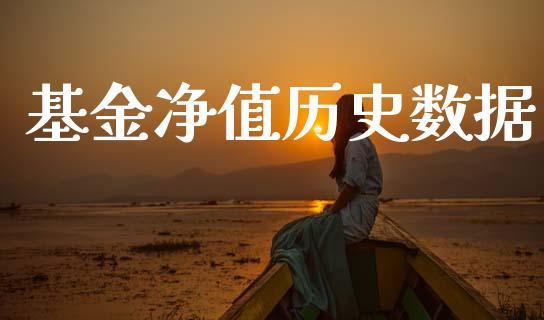 基金净值历史数据_https://www.lansai.wang_未分类_第1张