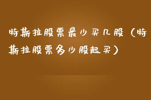特斯拉股票最少买几股（特斯拉股票多少股起买）_https://www.lansai.wang_股票问答_第1张