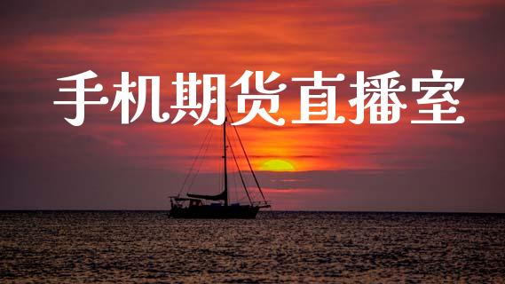 手机期货直播室_https://www.lansai.wang_期货直播_第1张